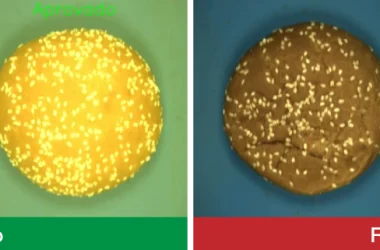 Controle de qualidade de pães com a Visão Computacional da WEG: um case de inovação e eficiência na indústria alimentícia