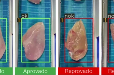 Visão Computacional: como a WEG inovou a inspeção de qualidade de cortes de frango