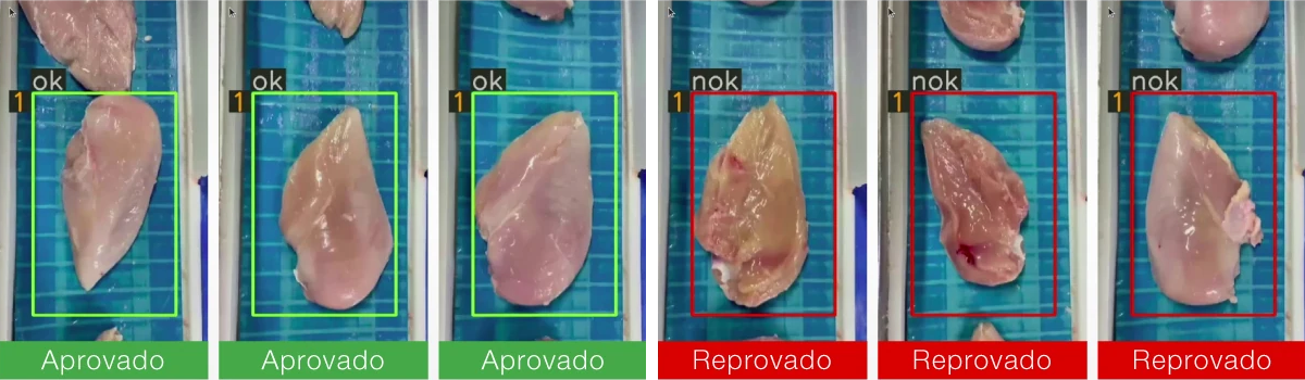 Visão Computacional: como a WEG inovou a inspeção de qualidade de cortes de frango