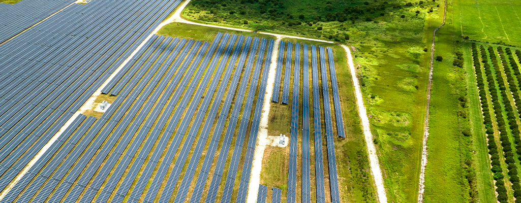 Energia Solar no Agronegócio