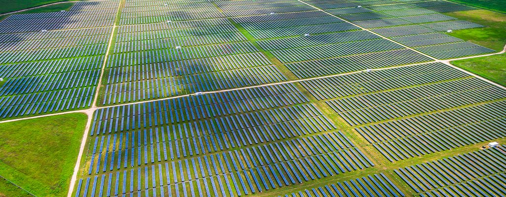 Painéis fotovoltaicos compondo usina solar.