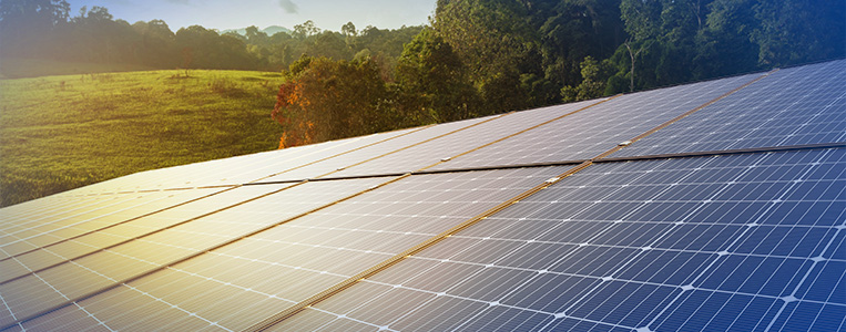 Painel de painéis solares em um campo aberto com natureza ao fundo, refletindo a sustentabilidade e energia renovável em uma manhã ensolarada
