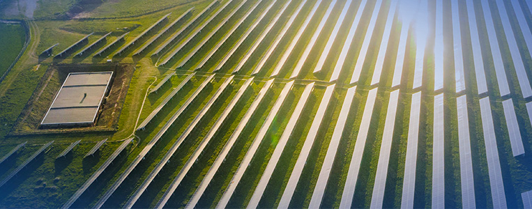 Imagem de uma plantação de painéis solares em um campo aberto.